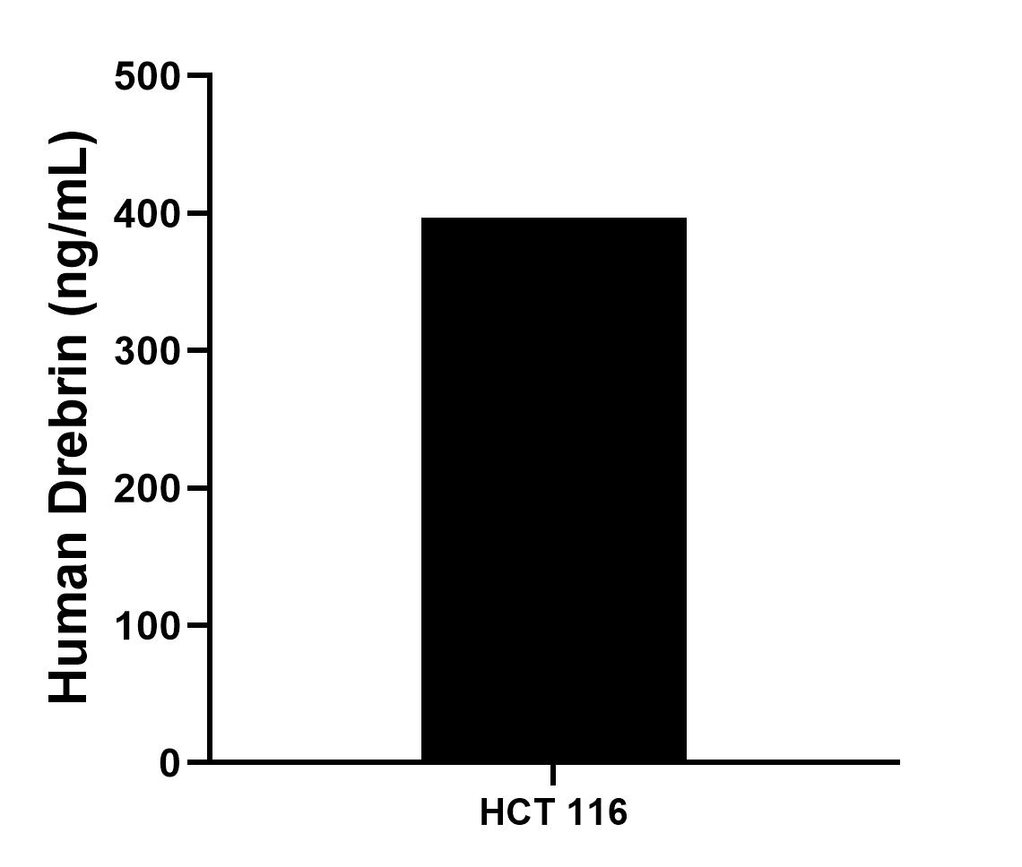 Sample test of MP00585-4